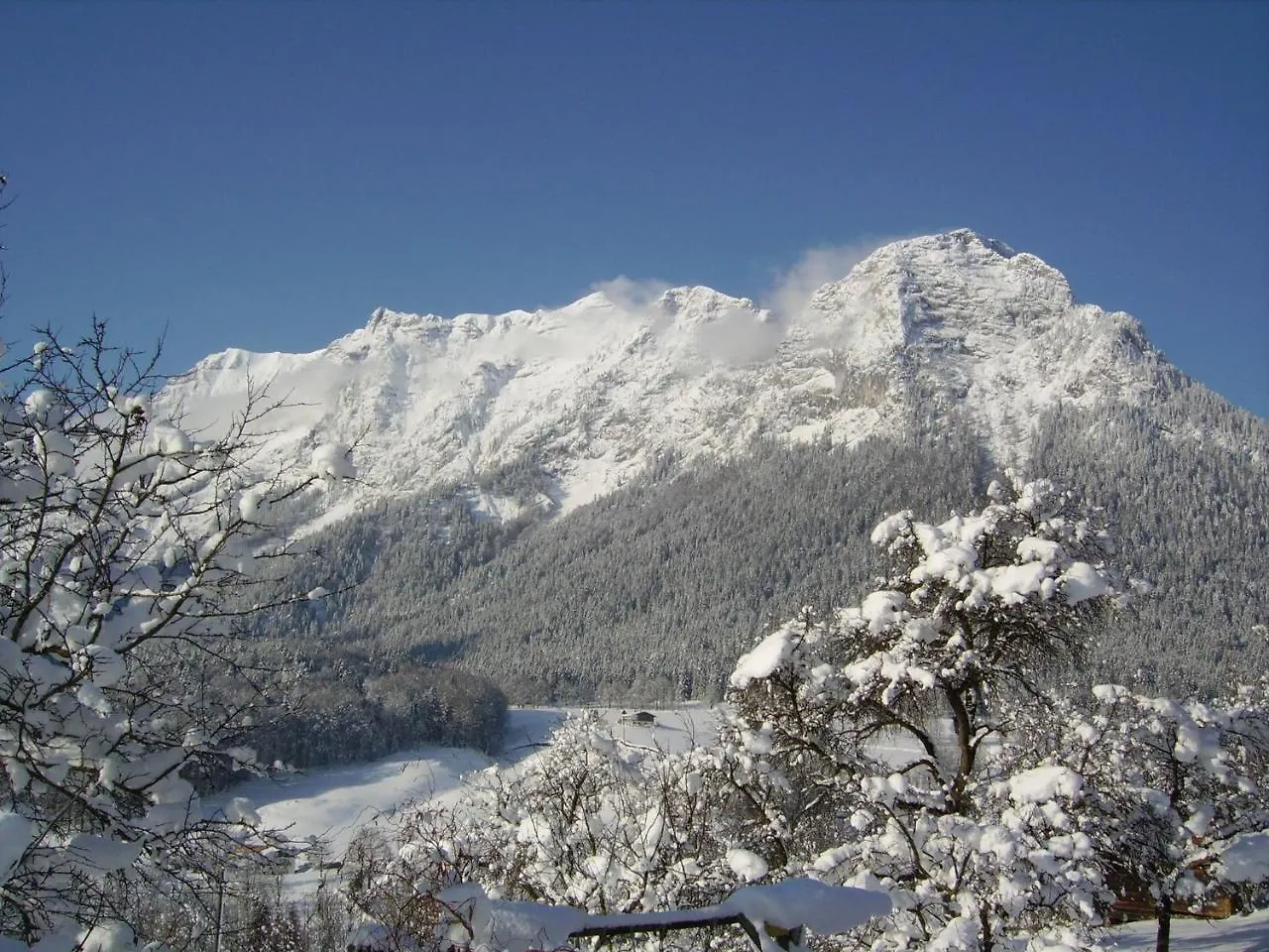 Haus Langbruck Ferienwohnungen Ramsau bei Berchtesgaden 0*,